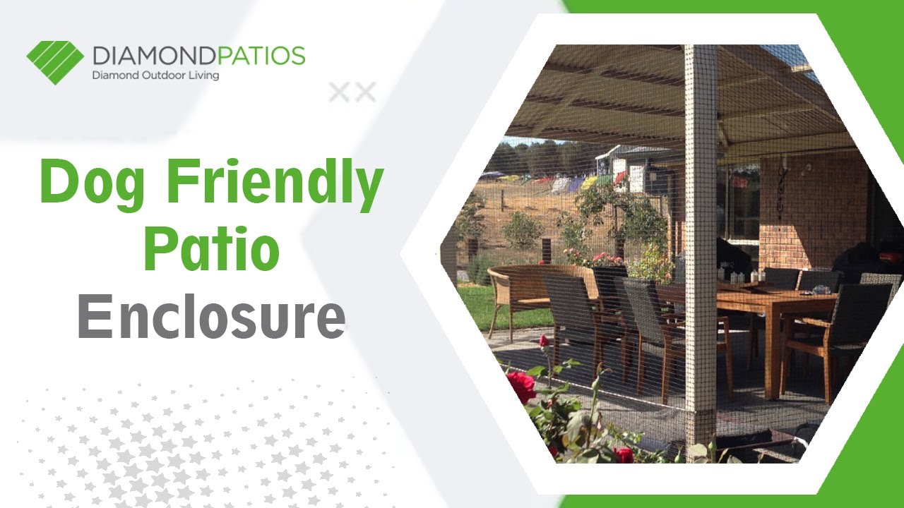 Dog Friendly Patio Enclosure - Brisbane, Gold Coast - Diamond Patios