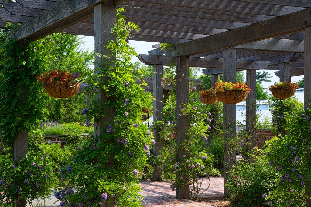 Free Standing Pergola