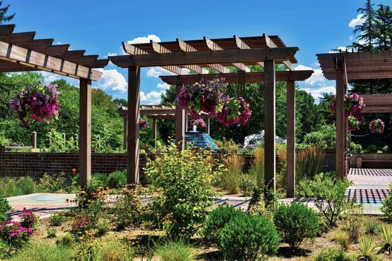 Transform Your Garden – 3 benefits of installing a pergola